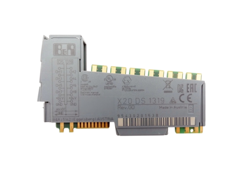 B&R X20DS1319 image 1